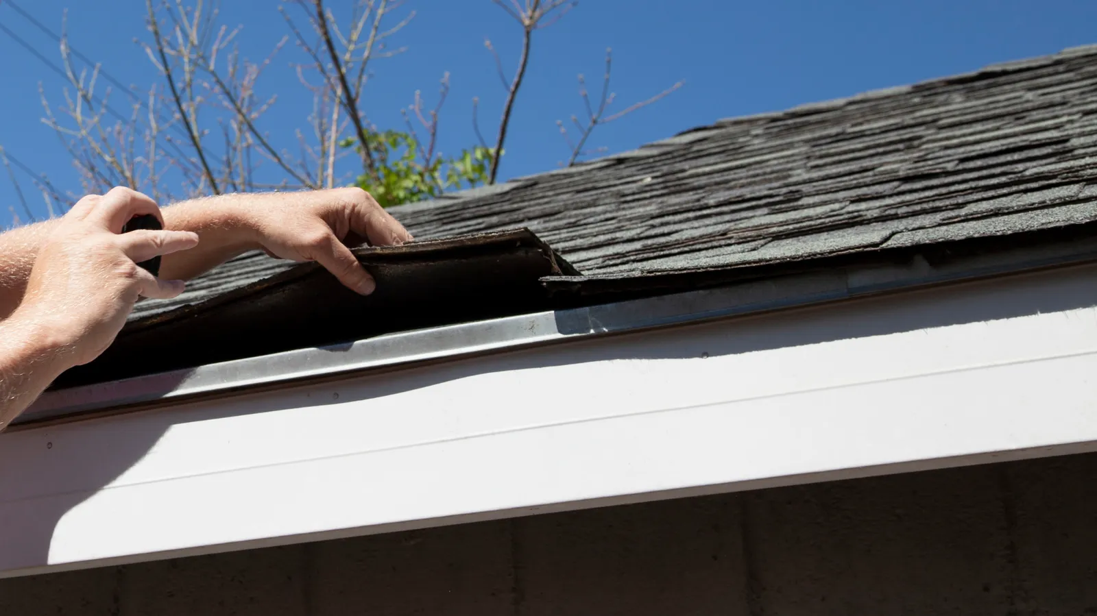 A roofer lifting a curled shingle edge at the roof eave