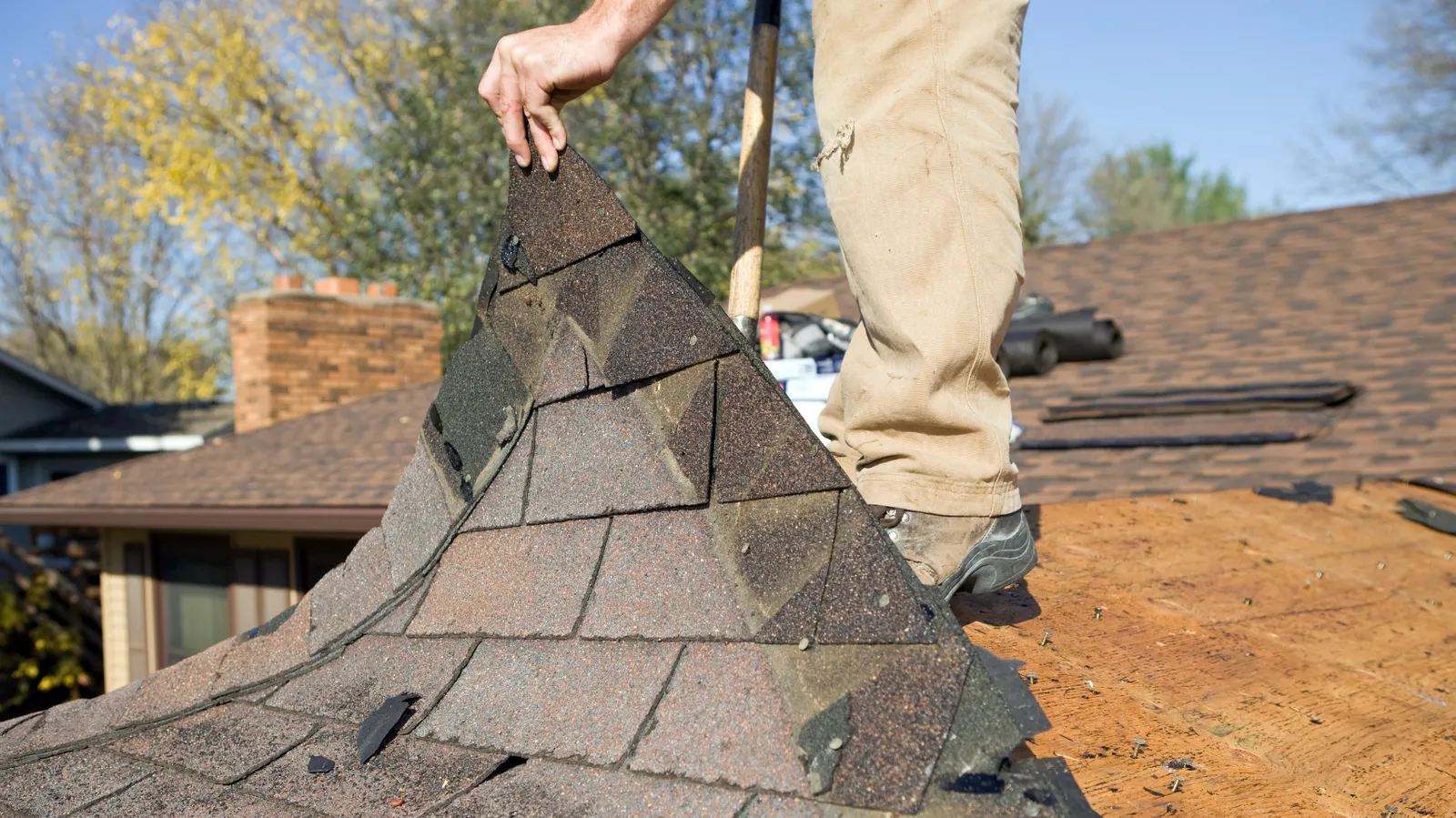 Large section of old shingles pulled up by a roofer by hand