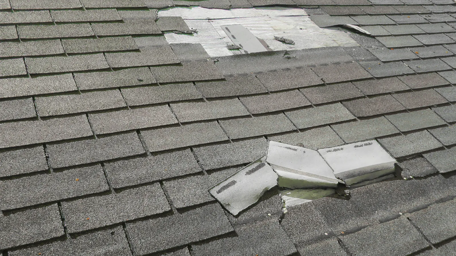 Bare wood exposed by missing and creased shingles on a gray roof